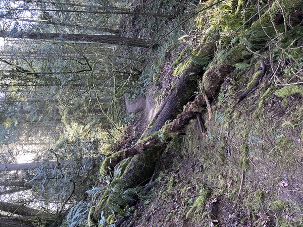 IMG_1564.jpeg IMG_1564.jpeg