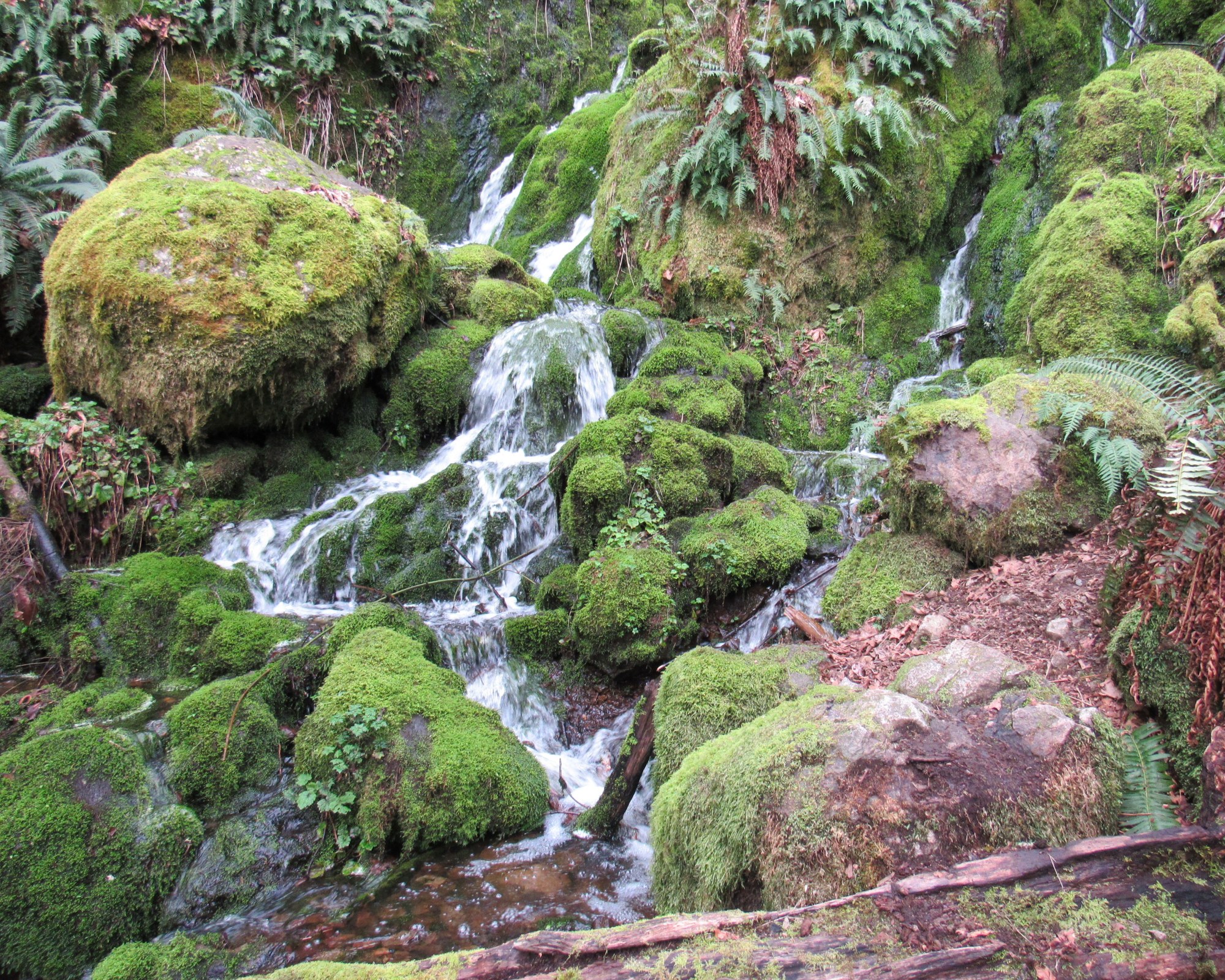 IMG_2628Far Country Falls.JPG