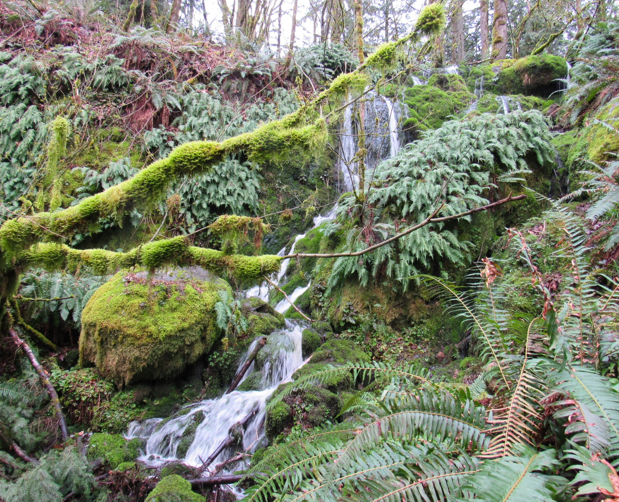 IMG_5853FarCountry Falls.JPG