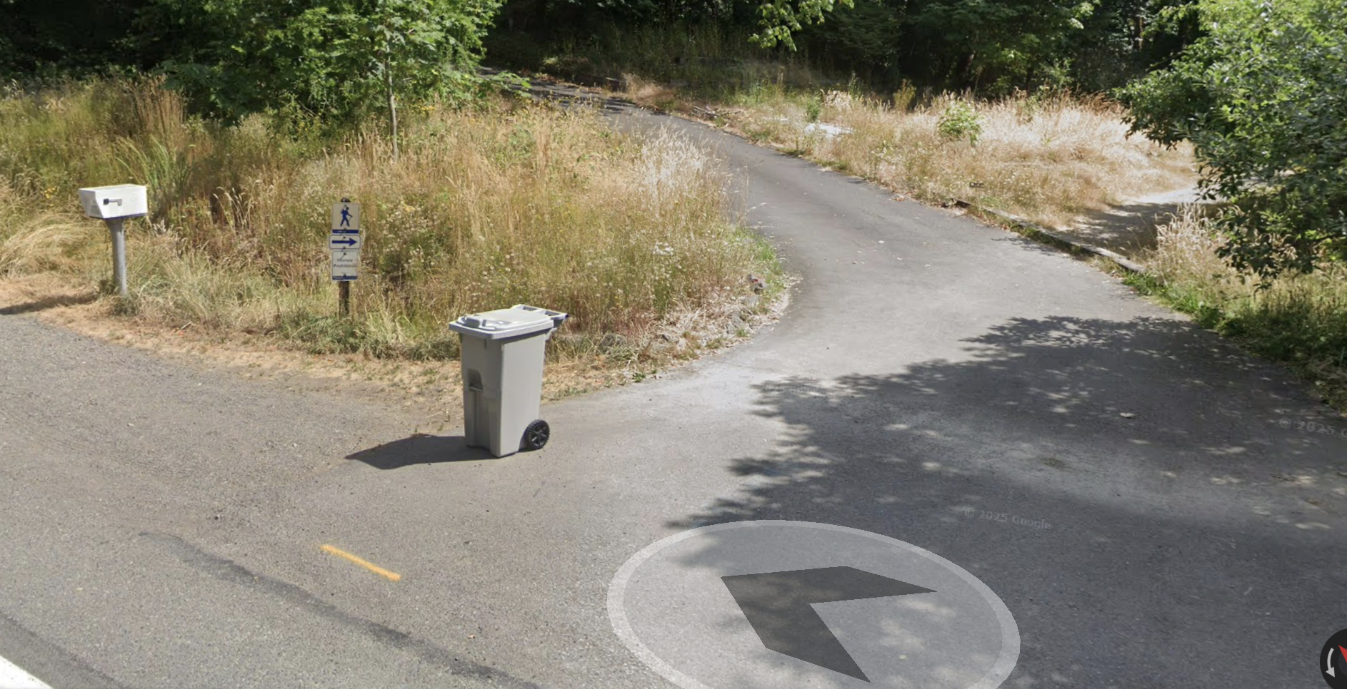 Licorice fern Trailhead.png