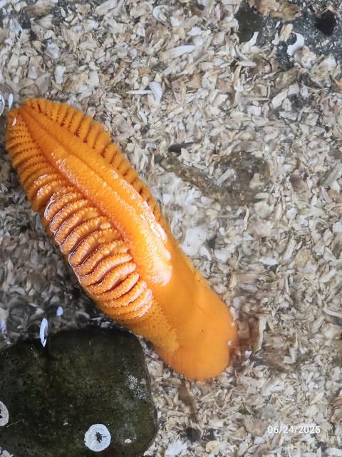 20250624_092110 (Small).jpg