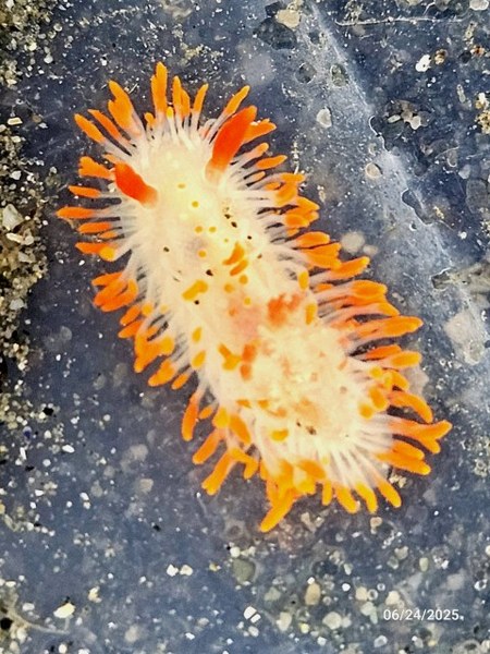 20250624_112056(1) (Small).jpg