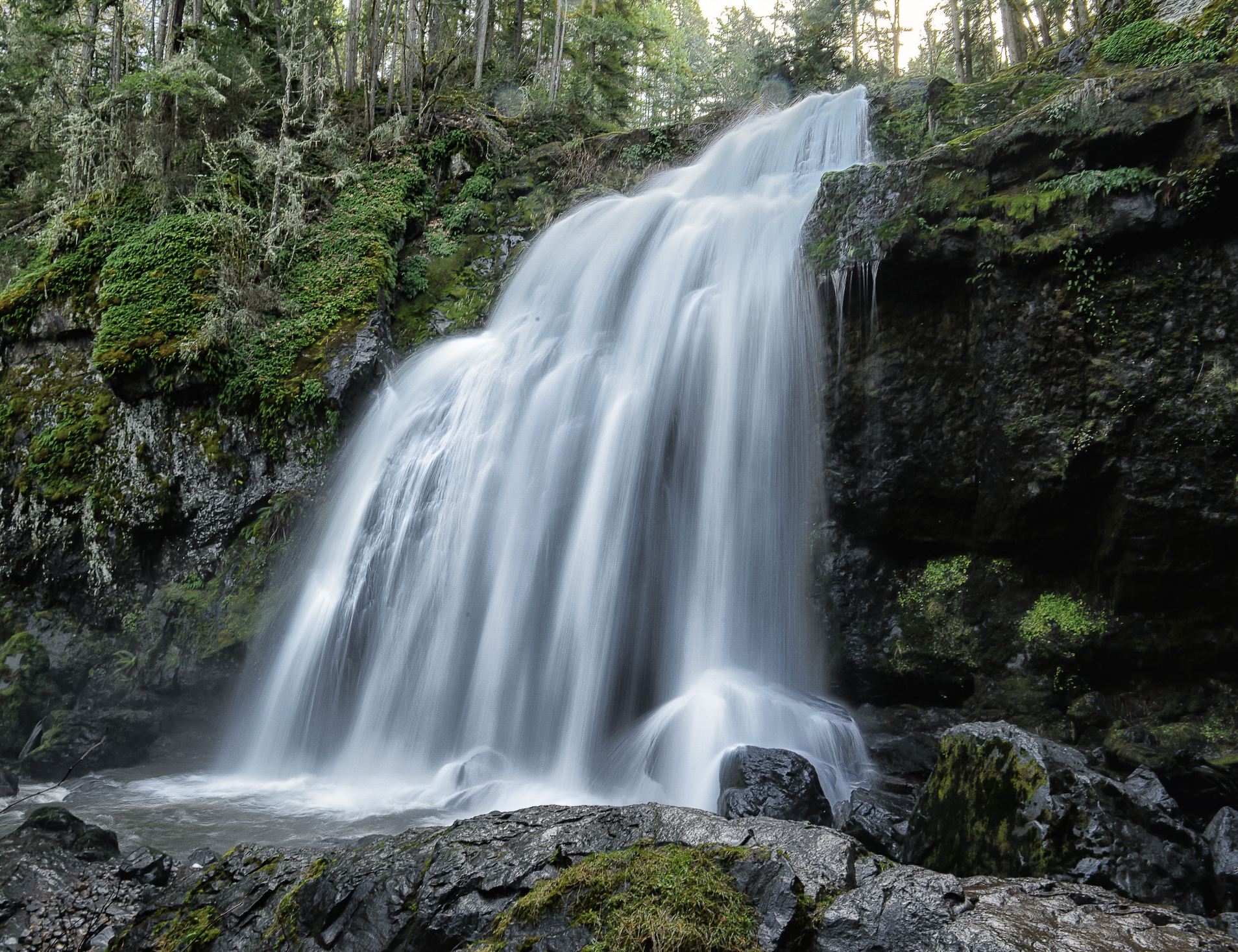 Screen Shot 2023-03-11 at 4.10.49 AM.png