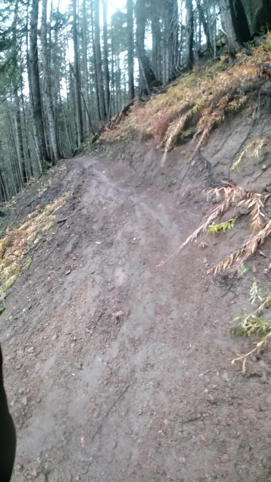 Ranger Peak Switchback Washout.JPG