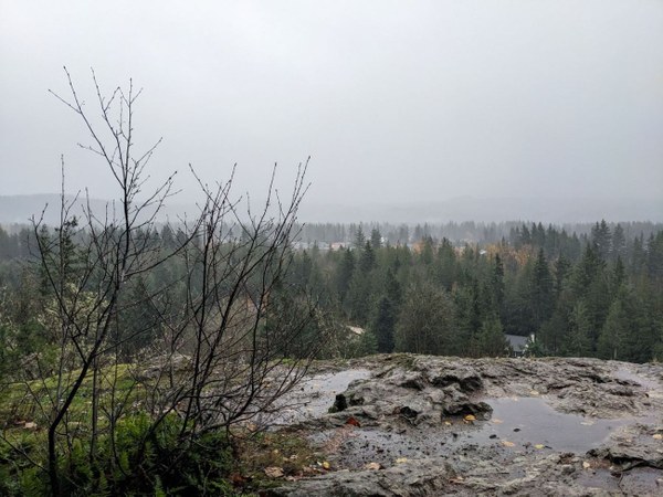 LittleSi_1stView_2025-11-14 (1).jpg