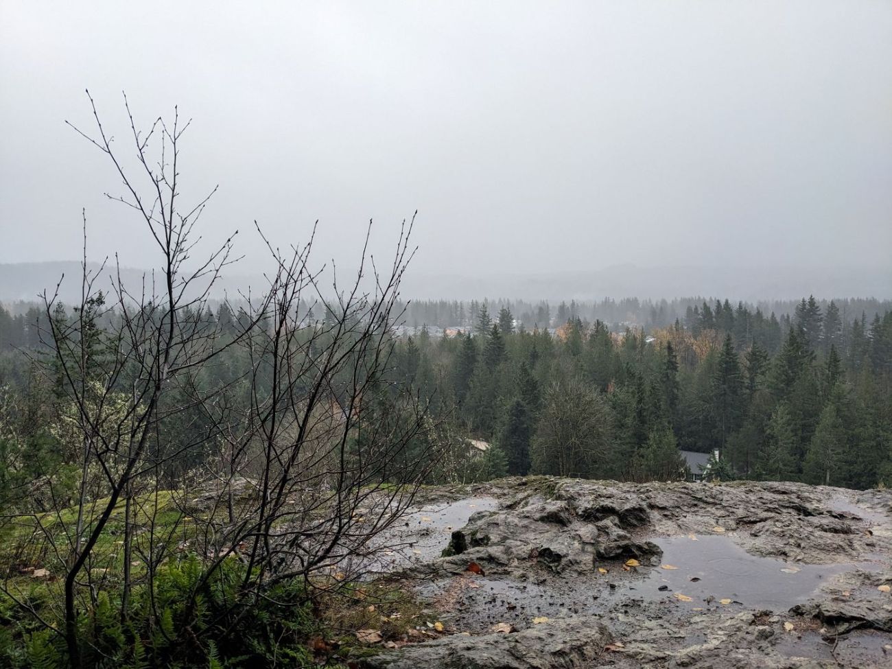 LittleSi_1stView_2025-11-14 (1).jpg