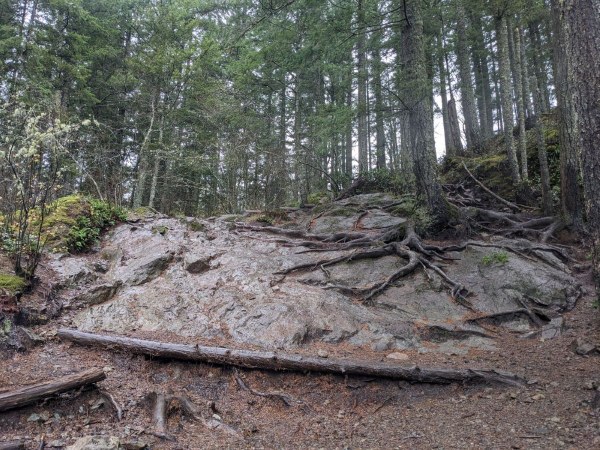 LittleSi_Trail_2025-11-14 (2).jpg