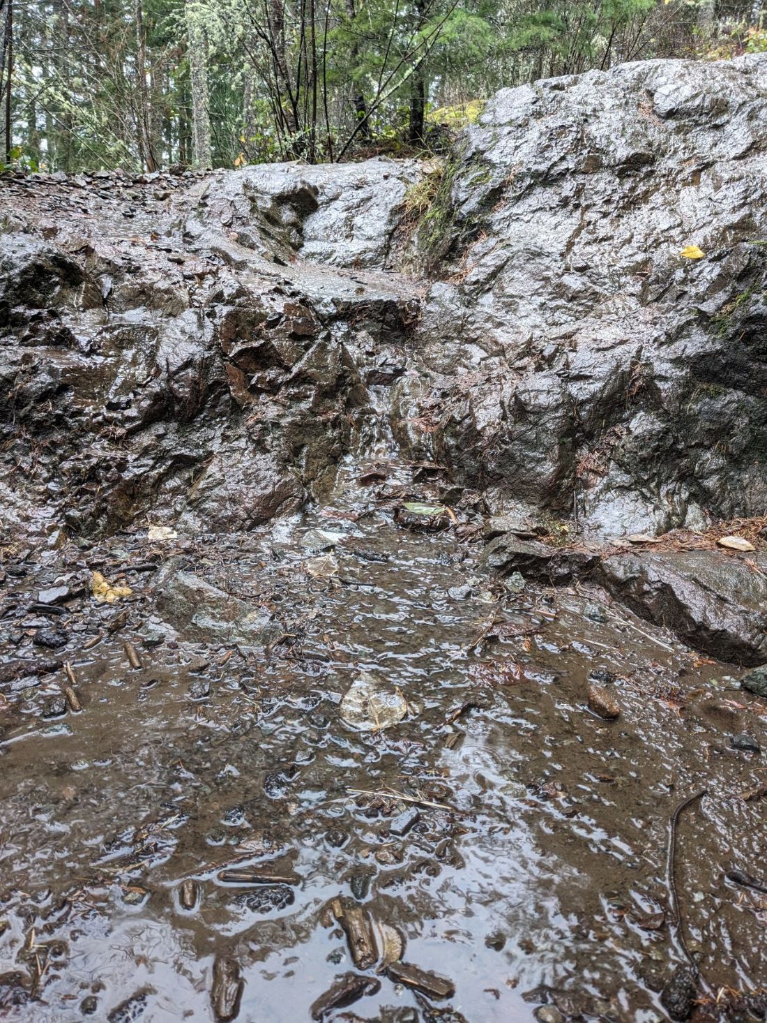 LittleSi_Trail_2025-11-14 (3).jpg