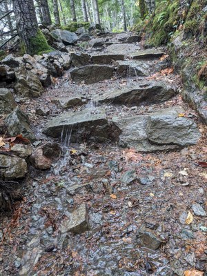 LittleSi_Trail_2025-11-14 (4).jpg