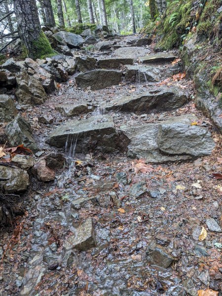 LittleSi_Trail_2025-11-14 (4).jpg