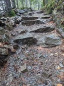 LittleSi_Trail_2025-11-14 (4).jpg