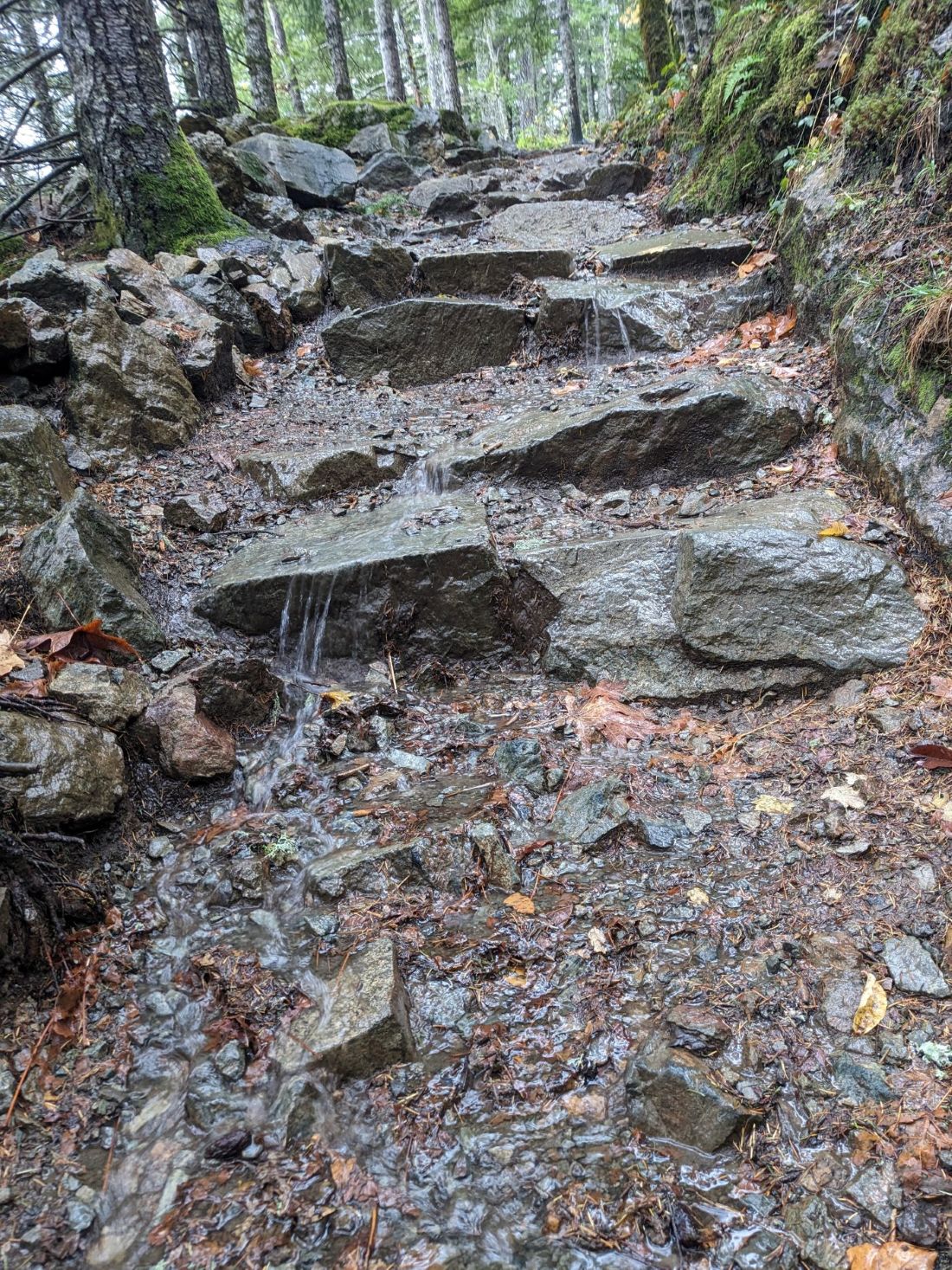 LittleSi_Trail_2025-11-14 (4).jpg