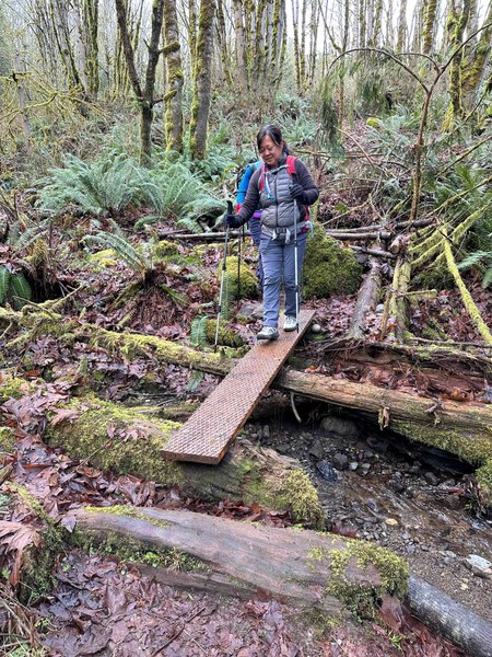 Grated stream crossing untitled-10.jpg