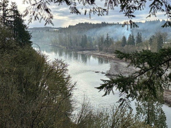 River Viewpoint untitled-12.jpg