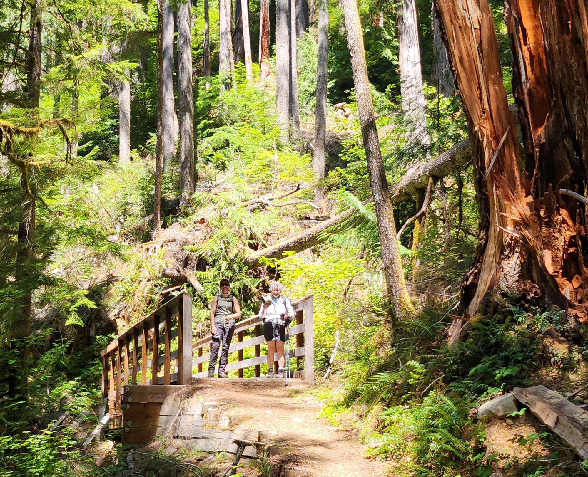 20230715_125457 cropped.jpg