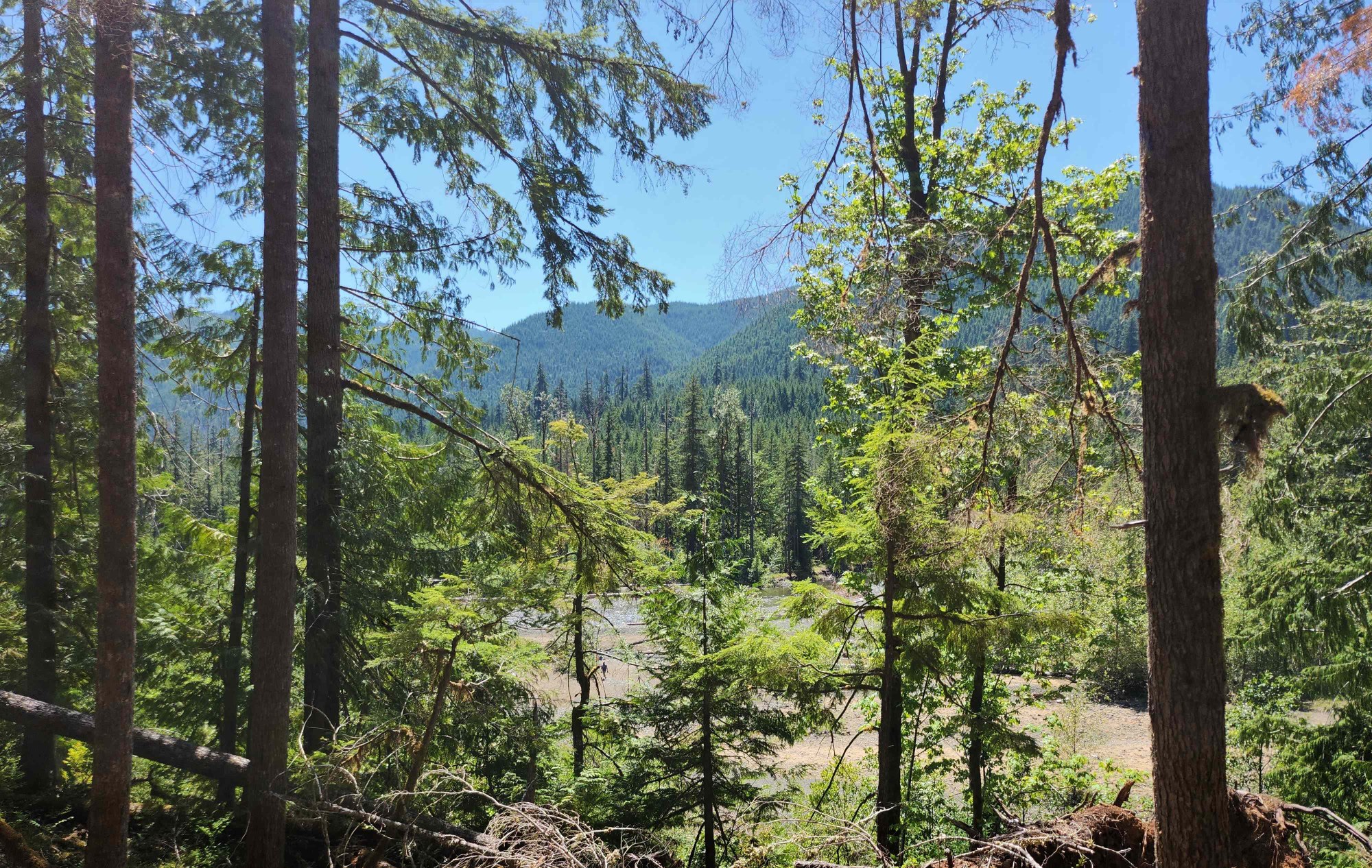 20230715_131220 resized.jpg