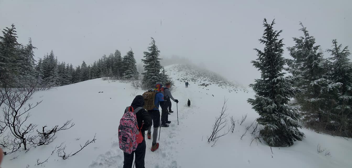 Franklin Pierce Mailbox2.jpg