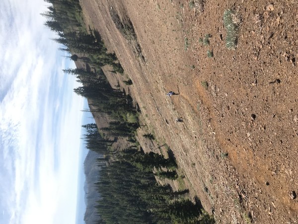 Malcolm faint trail.jpg