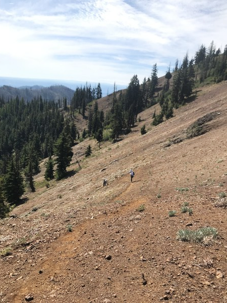 Rotated Malcolm trail.png