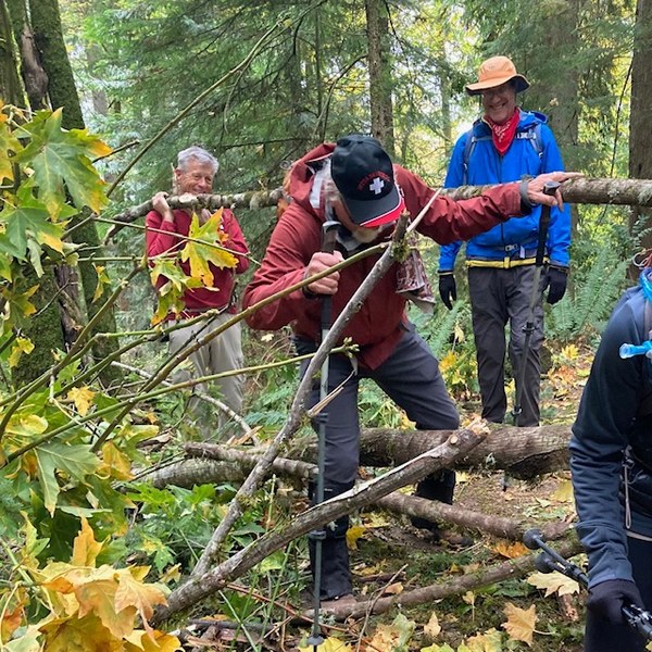 Hikers helping each other climb through fallen branches.