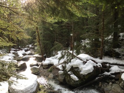 Marten Creek.jpg