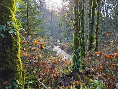 May Creek, The Highlands & Lake Boren