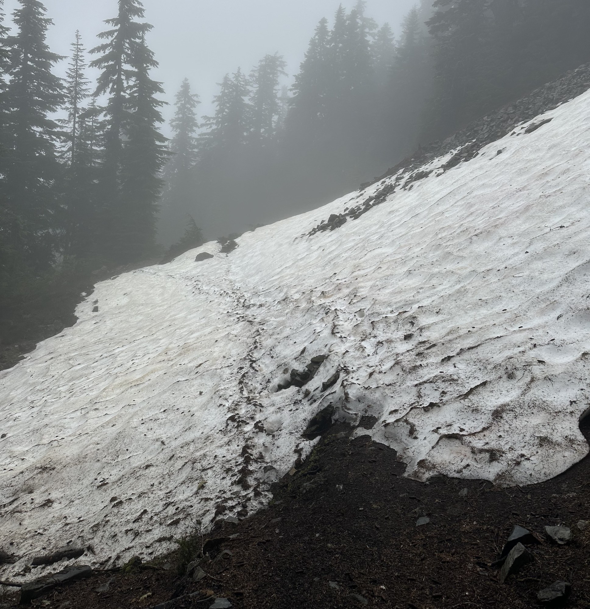 tjr_hike_062725_mcclellanbutte_02.jpg