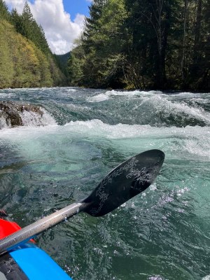McKenzie River: Olallie Campground to Paradise Campground