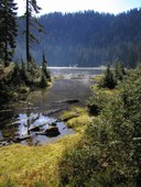 Meadow & Crystal Lakes