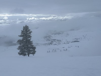 Methow Wildlife Area