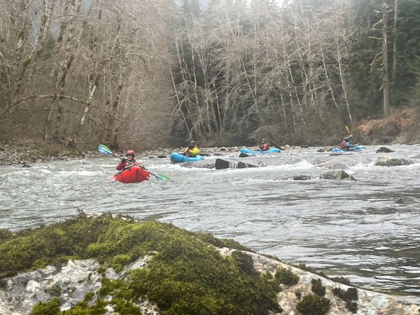 typical class II rapid.jpg