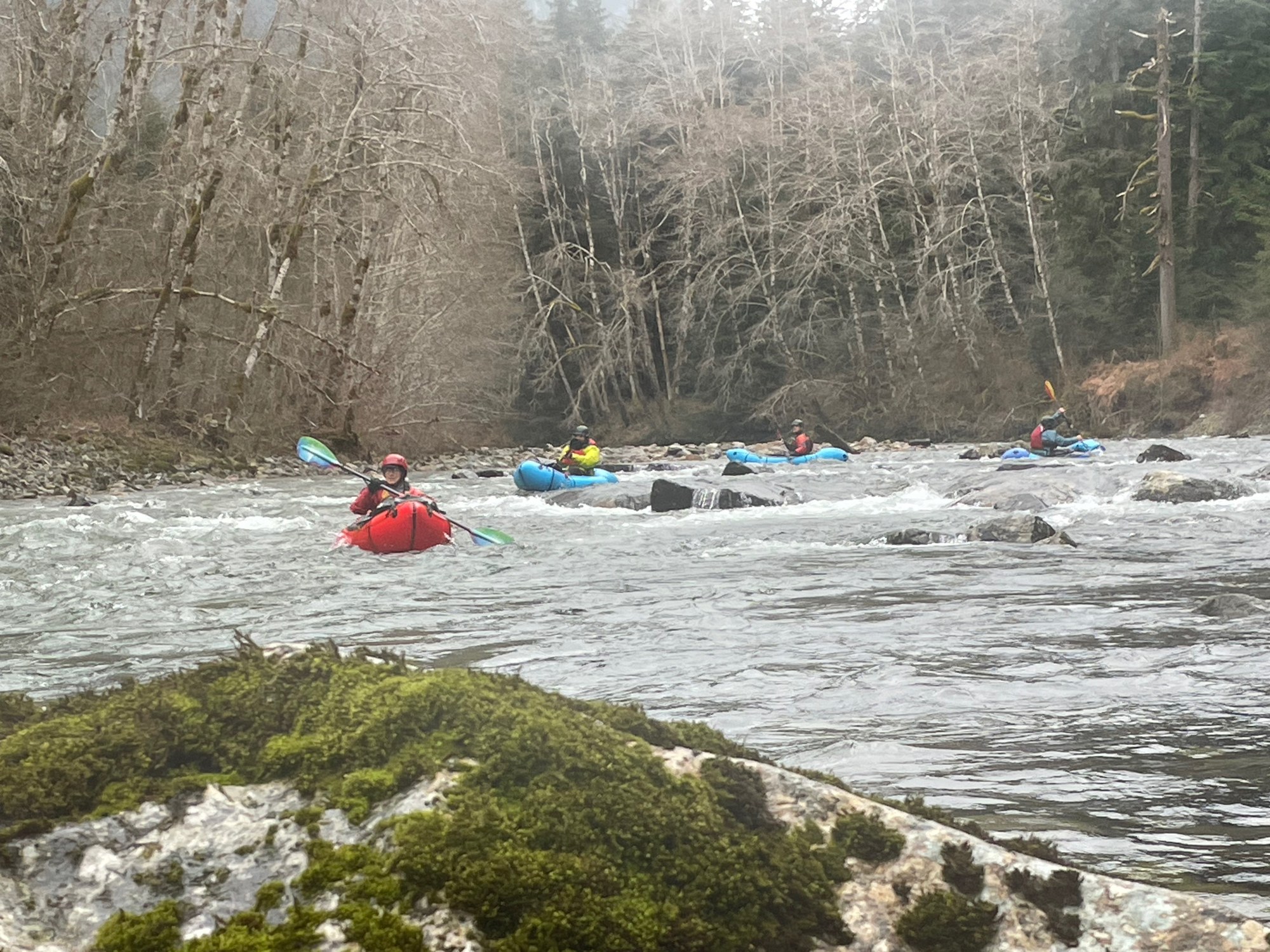 typical class II rapid.jpg