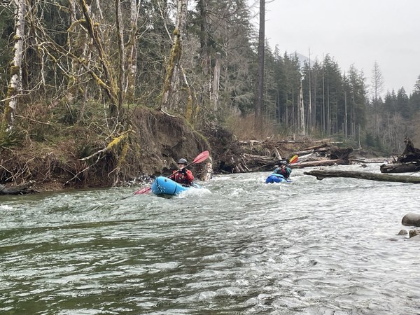 typical rapid and wood.jpg