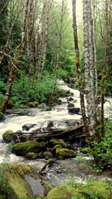 Middle Fork Snoqualmie River