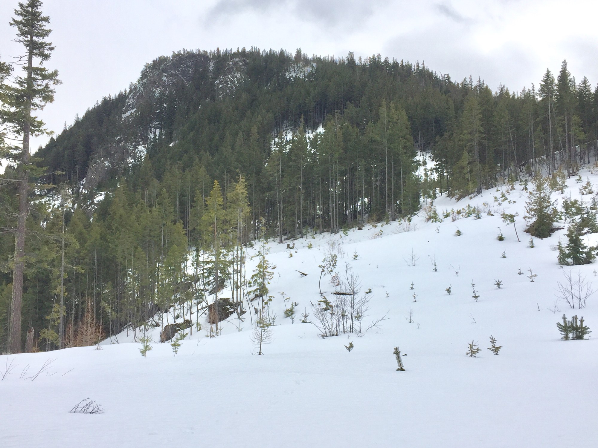 IMG_3651 (Edited).JPG