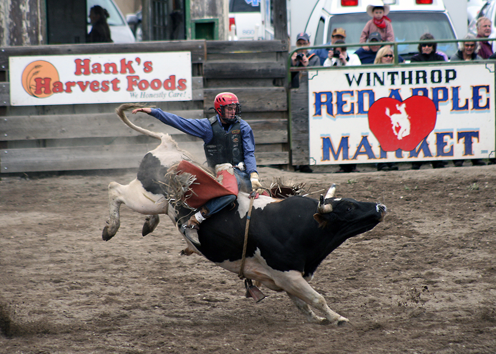 Bull Rider