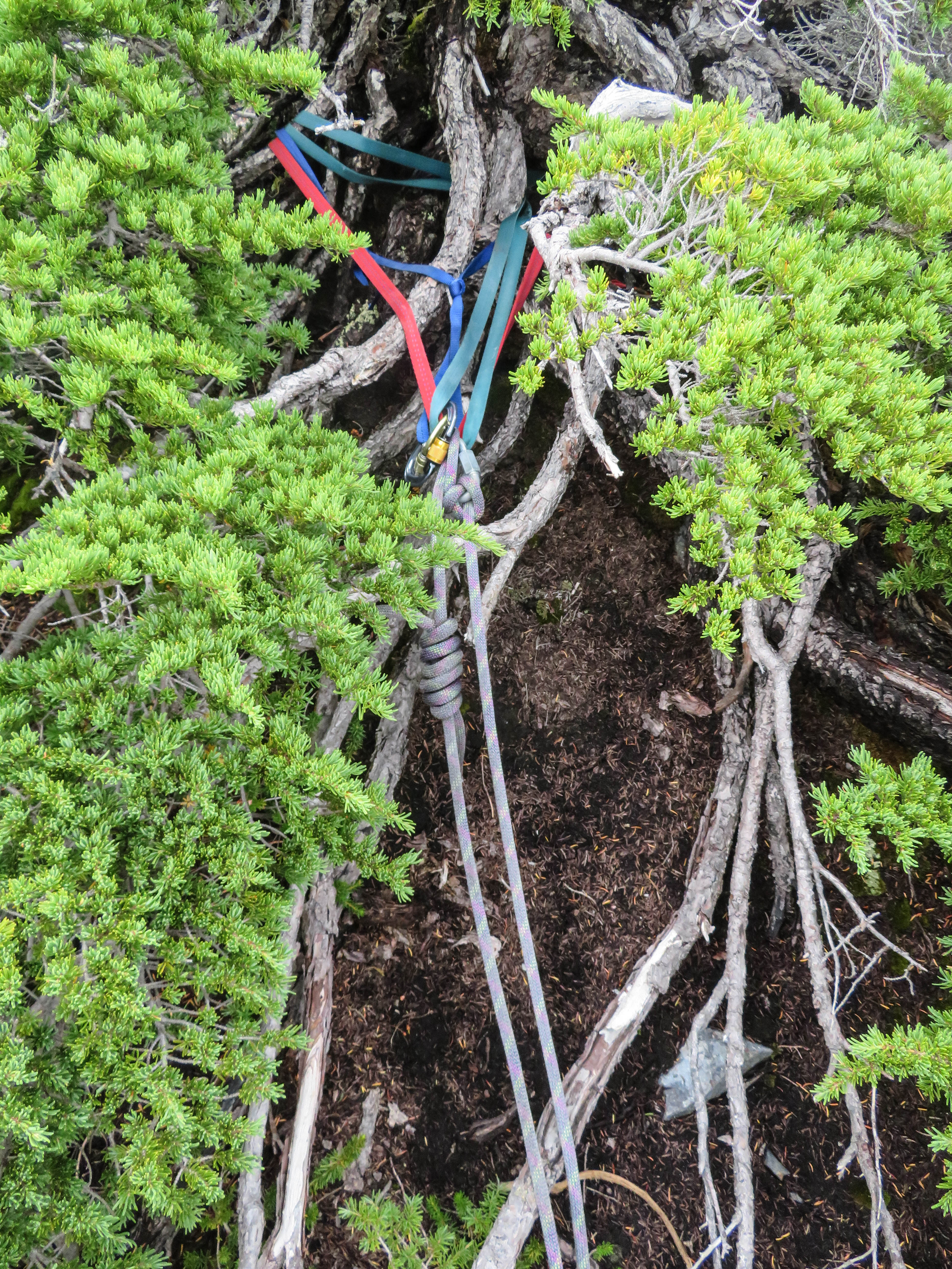 30172108868_36d12714b5_o (1).jpg