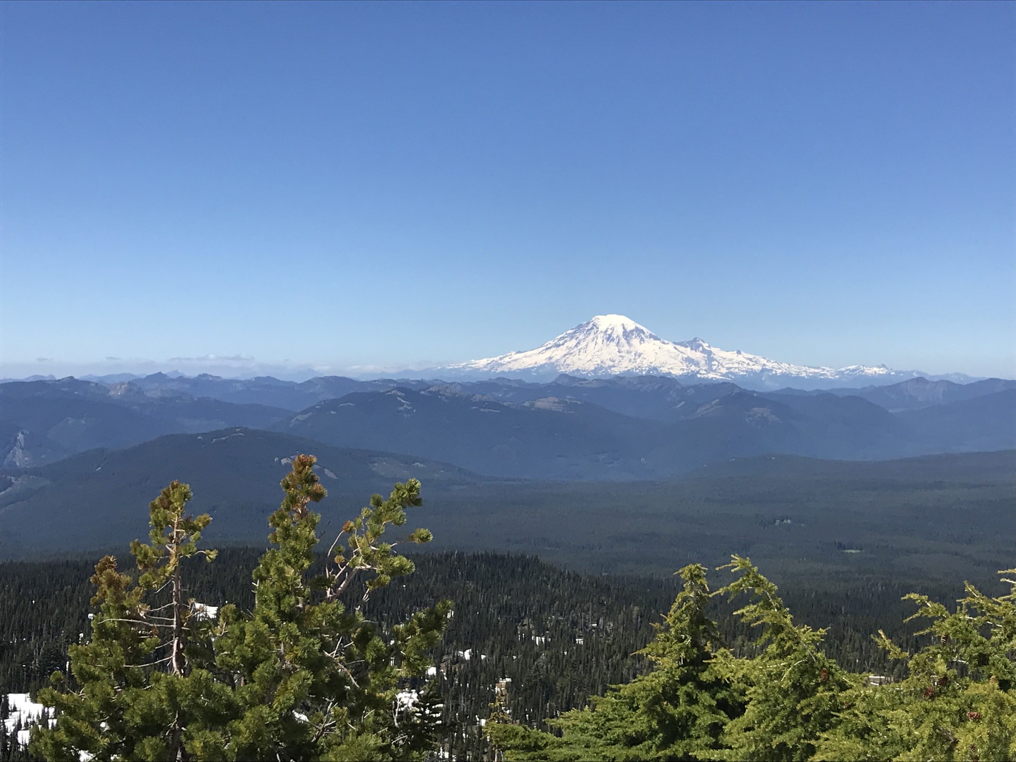 Rainier.jpg