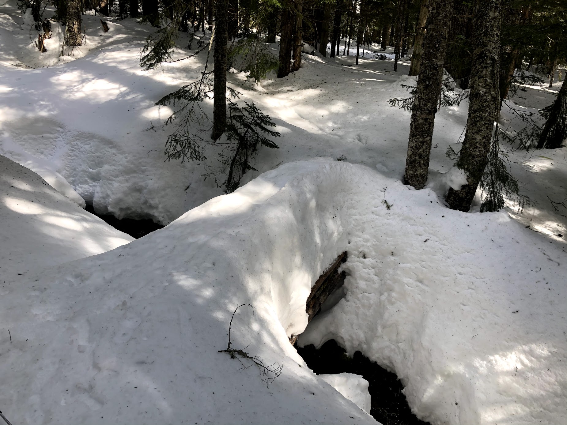 Ararat Creek Crossing.jpg