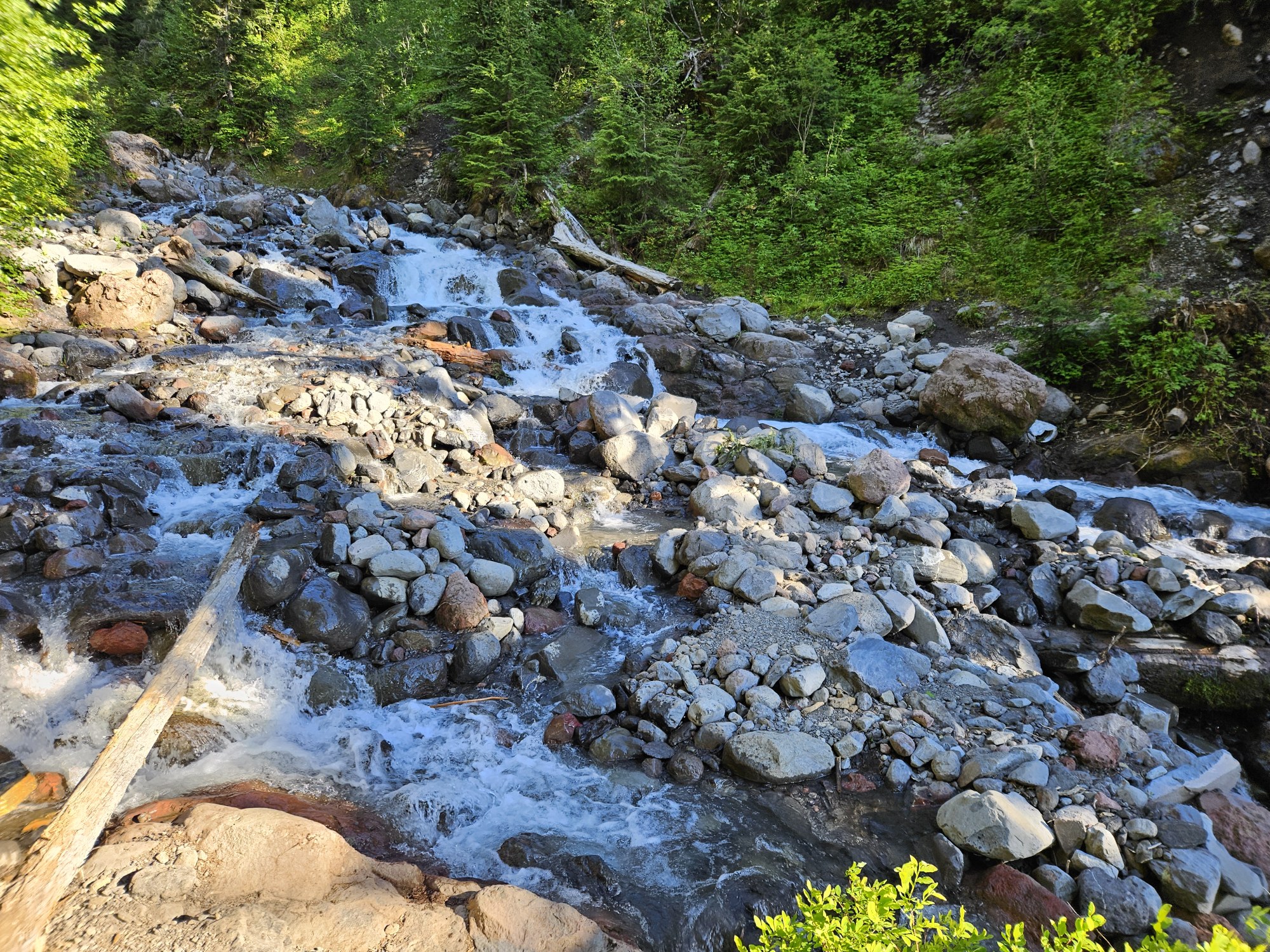 20240707_182637 (1) - Roated.jpeg