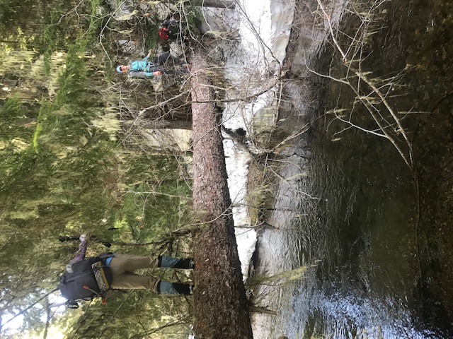 Silver Creek crossing.jpg