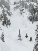 Mount Ellinor Avalanche Chute with release pic1