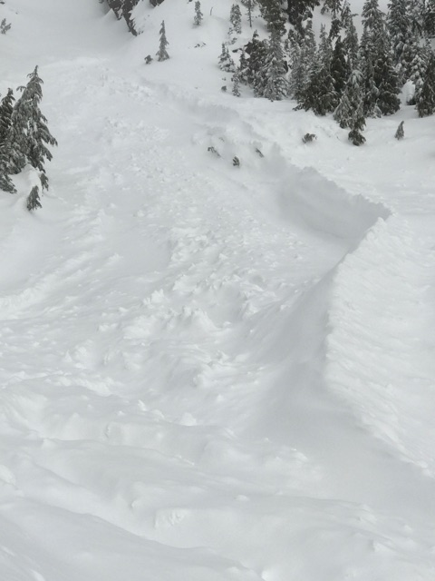 Mount Ellinor avalanche chute Pic2