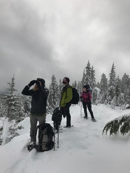 Mount Ellinor avalanche chute Pic3