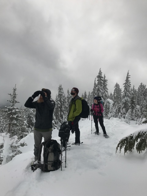 Mount Ellinor avalanche chute Pic3
