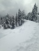 Mount Ellinor avalanche chute Pic3