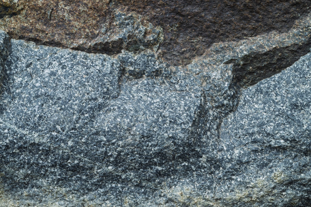 Andesite-Sourdough Ridge-Mt Rainier NP-0079.jpg