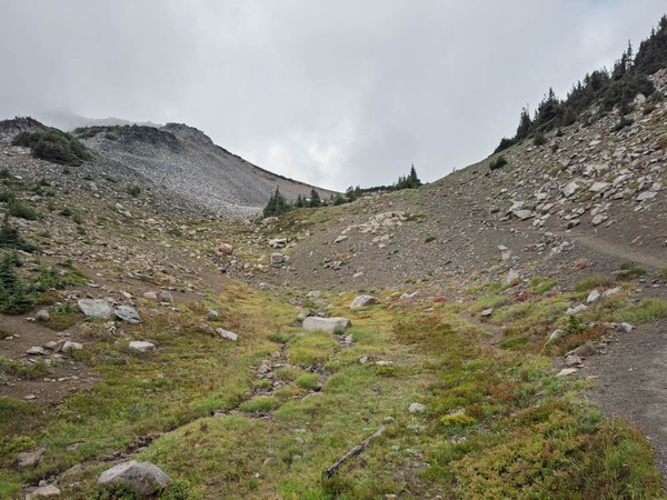 Below Frozen Lake - looking back-Frozen Lake - Sunrise Loop-Mount Rainier-3840.jpg