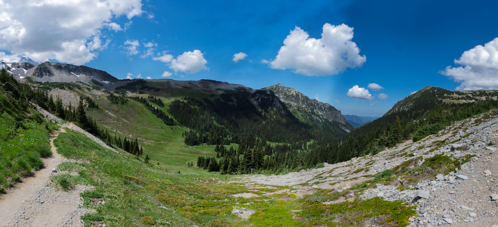 Berkeley Park Trail--Mt Rainier NP-.jpg