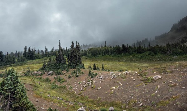 Disappearing Lateral Moraine-Frozen Lake - Sunrise Loop-Mount Rainier-3849.jpg